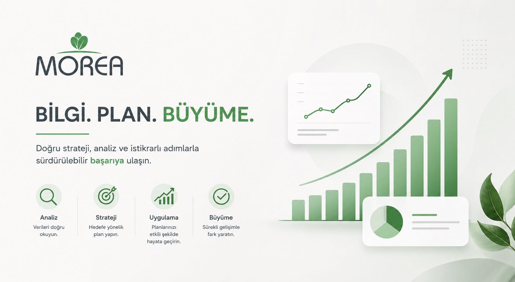 Moringa Bitkisi ile kazancın en DOĞAL hali